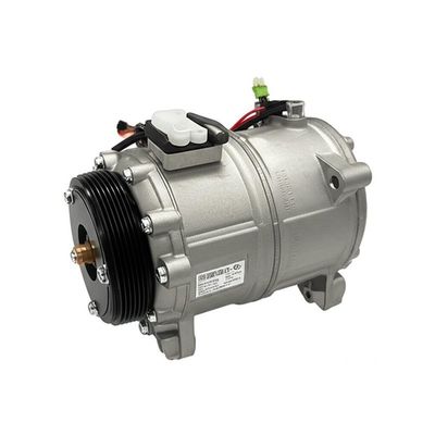 Sampling Tests Before Shipment Electric Vehicle Air Conditioning Compressor for and Malaysia Market